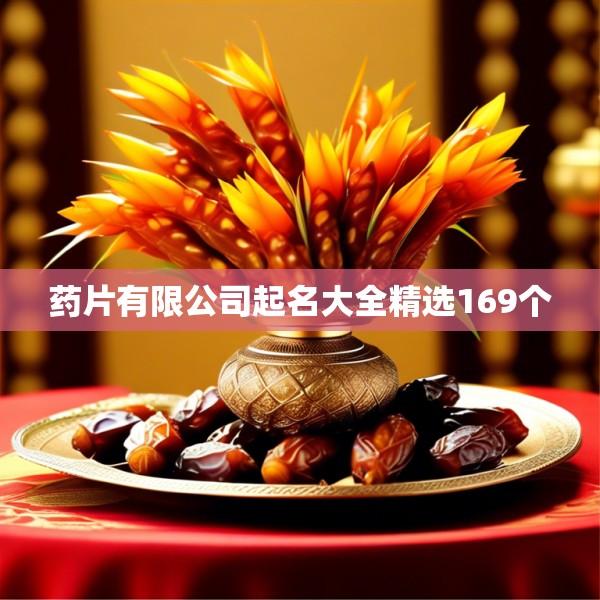 药片有限公司起名大全精选169个