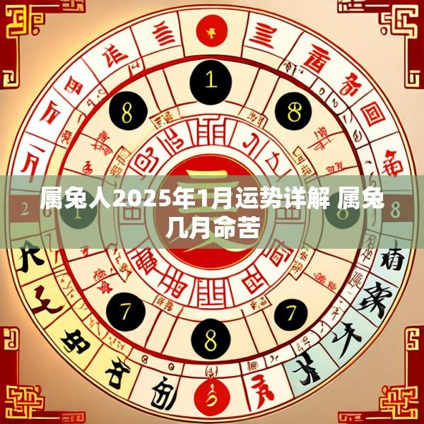 属兔人2025年1月运势详解 属兔几月命苦