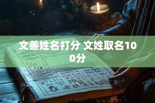 文善姓名打分 文姓取名100分