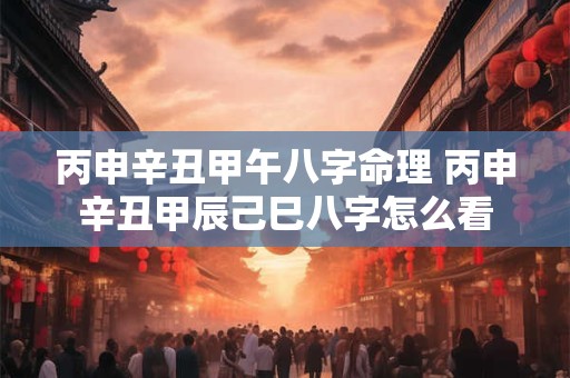 丙申辛丑甲午八字命理 丙申辛丑甲辰己巳八字怎么看