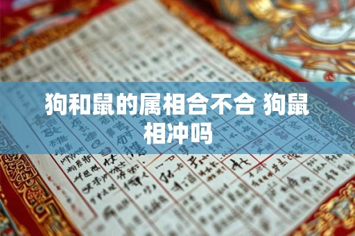 狗和鼠的属相合不合 狗鼠相冲吗 狗和鼠的属相合不合 狗鼠相冲吗