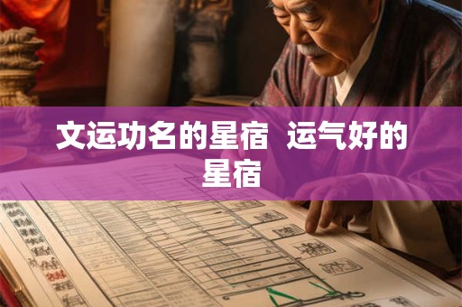 文运功名的星宿  运气好的星宿