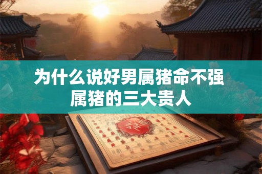 为什么说好男属猪命不强 属猪的三大贵人