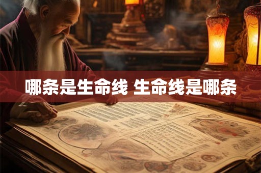 哪条是生命线 生命线是哪条