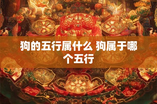 狗的五行属什么 狗属于哪个五行