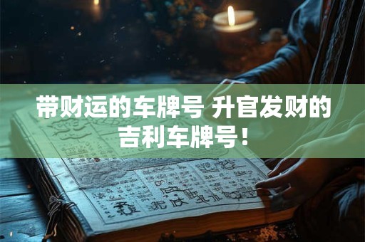 带财运的车牌号 升官发财的吉利车牌号！
