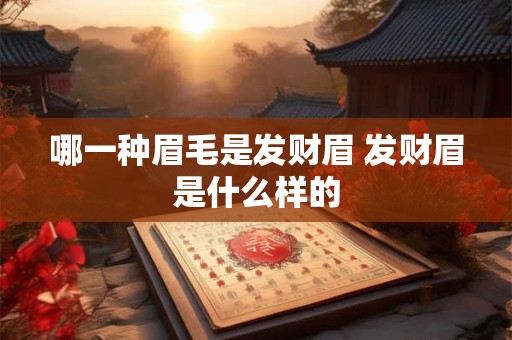 哪一种眉毛是发财眉 发财眉是什么样的