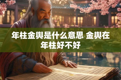年柱金舆是什么意思 金舆在年柱好不好