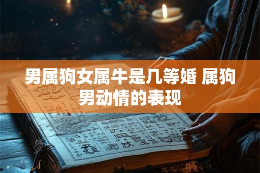 男属狗女属牛是几等婚 属狗男动情的表现
