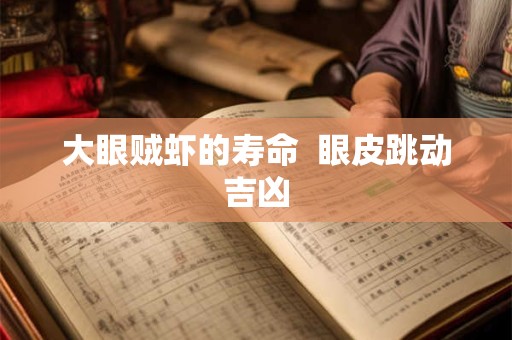 大眼贼虾的寿命  眼皮跳动吉凶