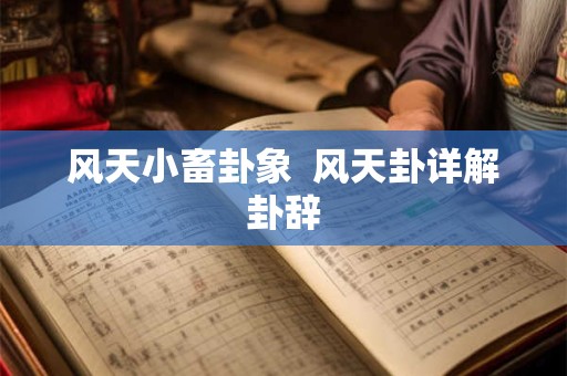 风天小畜卦象 风天卦详解卦辞 风天小畜卦象 风天卦详解卦辞