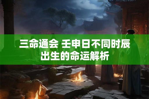 三命通会 壬申日不同时辰出生的命运解析