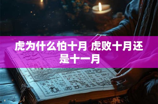 虎为什么怕十月 虎败十月还是十一月