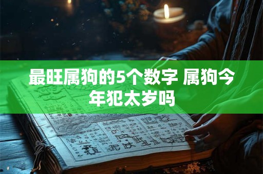 最旺属狗的5个数字 属狗今年犯太岁吗 最旺属狗的5个数字 属狗今年犯太岁吗