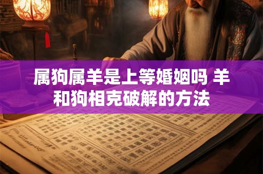 属狗属羊是上等婚姻吗 羊和狗相克破解的方法 属狗属羊是上等婚姻吗 羊和狗相克破解的方法