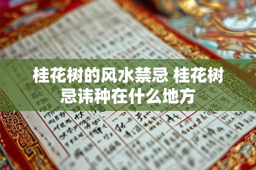 桂花树的风水禁忌 桂花树忌讳种在什么地方 桂花树的风水禁忌 桂花树忌讳种在什么地方