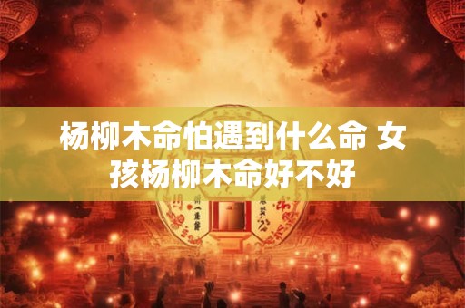 杨柳木命怕遇到什么命 女孩杨柳木命好不好 杨柳木命怕遇到什么命 女孩杨柳木命好不好