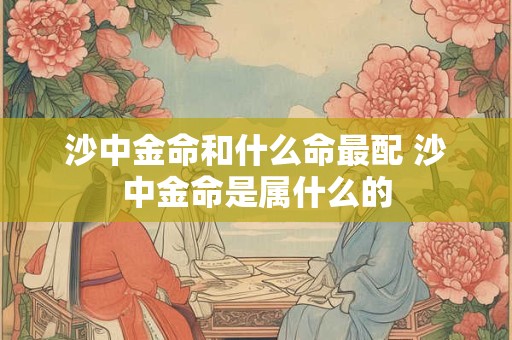 沙中金命和什么命最配 沙中金命是属什么的 沙中金命和什么命最配 沙中金命是属什么的