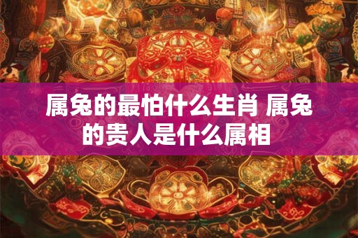 属兔的最怕什么生肖 属兔的贵人是什么属相 属兔的最怕什么生肖 属兔的贵人是什么属相