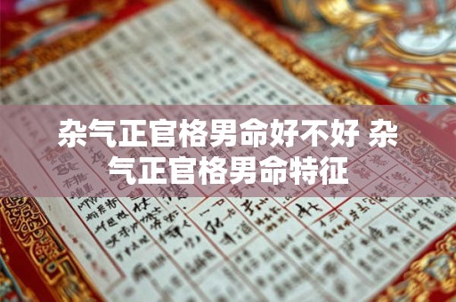 杂气正官格男命好不好 杂气正官格男命特征 杂气正官格男命好不好 杂气正官格男命特征