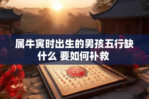 属牛寅时出生的男孩五行缺什么 要如何补救 属牛寅时出生的男孩五行缺什么 要如何补救
