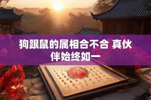 狗跟鼠的属相合不合 真伙伴始终如一 狗跟鼠的属相合不合 真伙伴始终如一