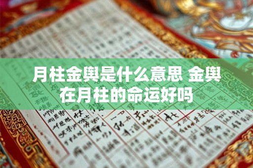 月柱金舆是什么意思 金舆在月柱的命运好吗