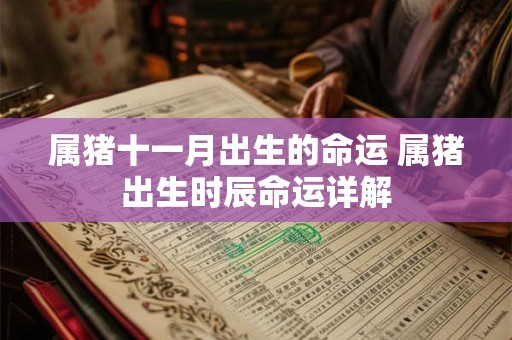属猪十一月出生的命运 属猪出生时辰命运详解 属猪十一月出生的命运 属猪出生时辰命运详解