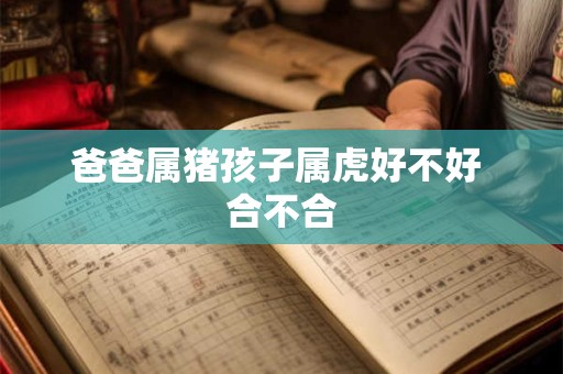 爸爸属猪孩子属虎好不好 合不合