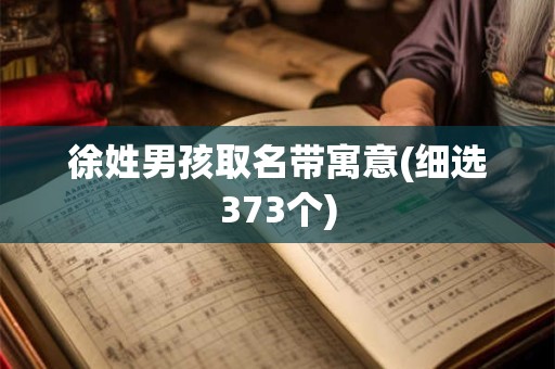徐姓男孩取名带寓意(细选373个)
