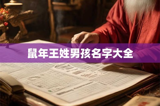 鼠年王姓男孩名字大全