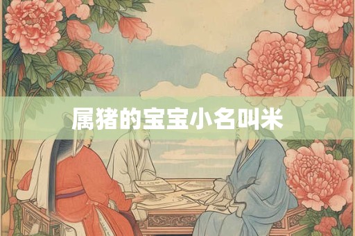 属猪的宝宝小名叫米