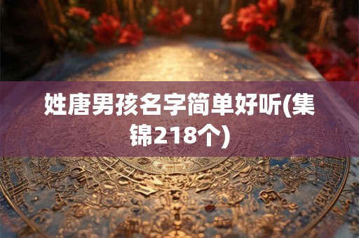 姓唐男孩名字简单好听(集锦218个) 姓唐男孩名字简单好听(集锦218个)