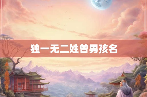 独一无二姓曾男孩名