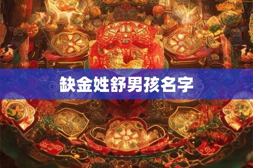 缺金姓舒男孩名字