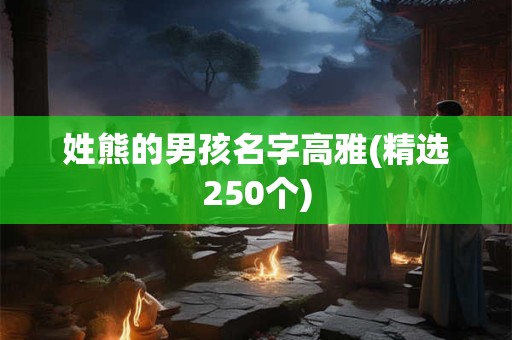 姓熊的男孩名字高雅(精选250个)