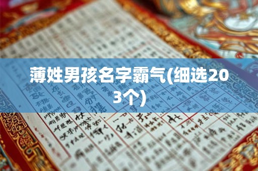 薄姓男孩名字霸气(细选203个)