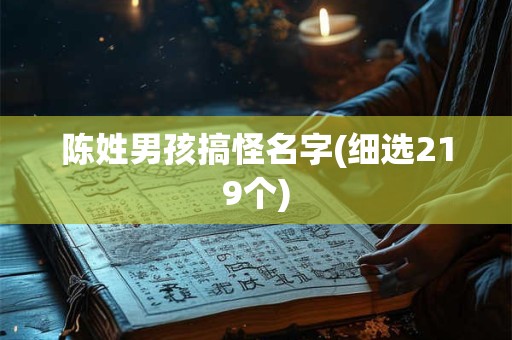 陈姓男孩搞怪名字(细选219个)