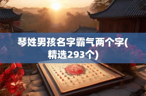 琴姓男孩名字霸气两个字(精选293个)