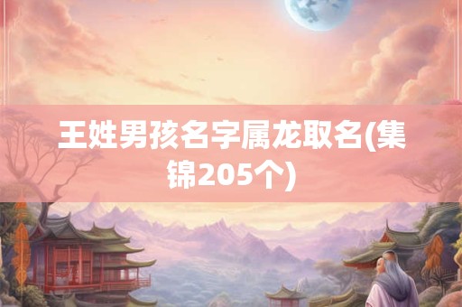 王姓男孩名字属龙取名(集锦205个)