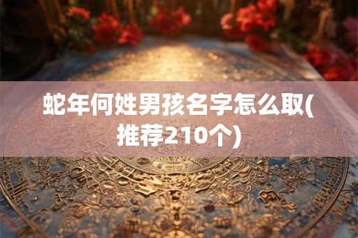 蛇年何姓男孩名字怎么取(推荐210个)