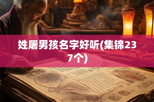姓屠男孩名字好听(集锦237个)
