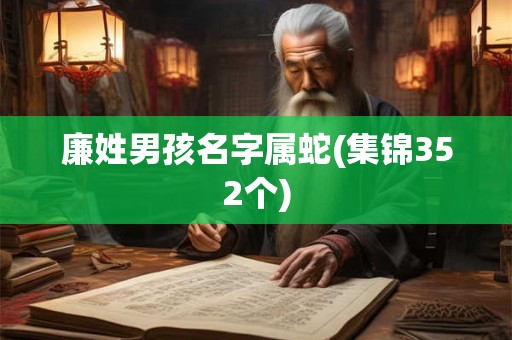 廉姓男孩名字属蛇(集锦352个)