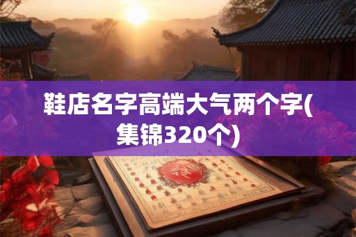 鞋店名字高端大气两个字(集锦320个)