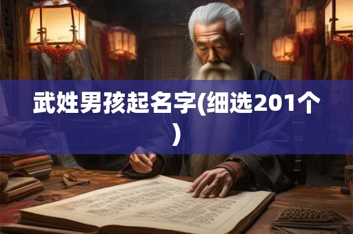 武姓男孩起名字(细选201个)