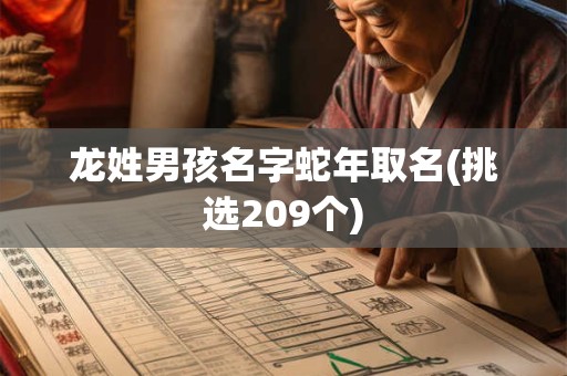 龙姓男孩名字蛇年取名(挑选209个)