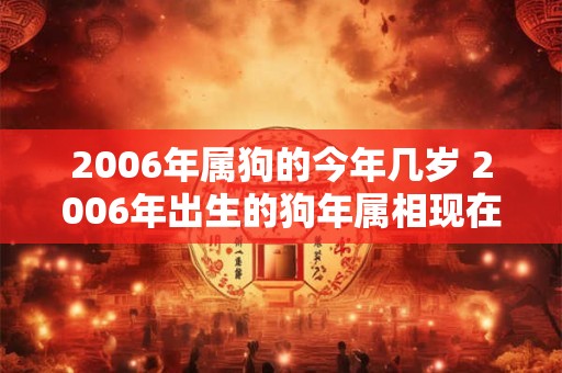 2006年属狗的今年几岁 2006年出生的狗年属相现在多少岁了