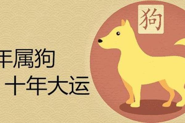 1982年属狗的今年多大2026 82年出生2026年多大年龄